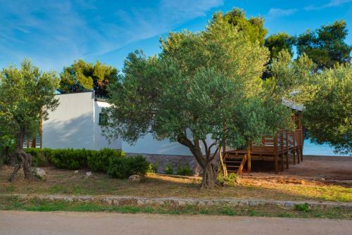 Hotel Mobile Home Pirovac 28