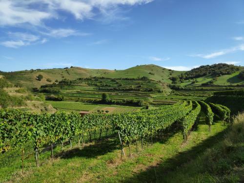 Apartamento Weingut & Strau�wirtschaft Vogel
