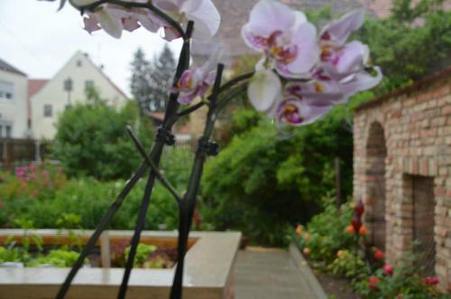 Hostal Landhotel Zum Adler