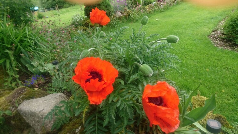 Bed & Breakfast Domaine De La Jarrige
