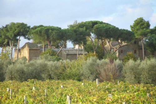 Apartamento Antico Borgo La Commenda
