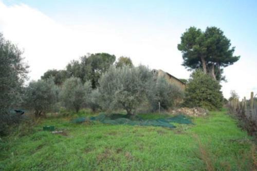 Apartamento Antico Borgo La Commenda