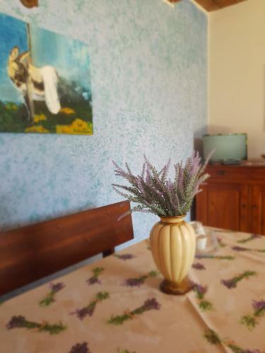Agroturismo Agriturismo Cipollone