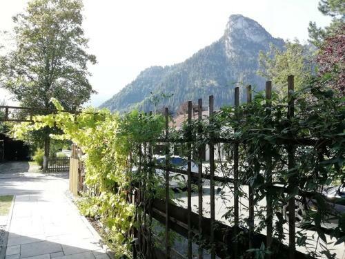 Apartamento K�nig Ludwig' Das M�rchenhafte Appartement