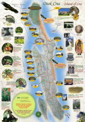 Tramuntana Holiday Home