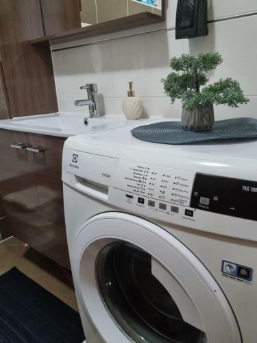 Luka Apartman Pako?tane