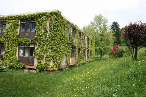 Apartamento Wiesenzauber Appartement