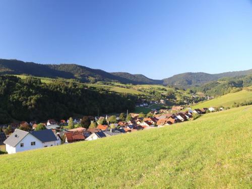 Apartamento Ferienwohnung Jilg Oberharmersbach