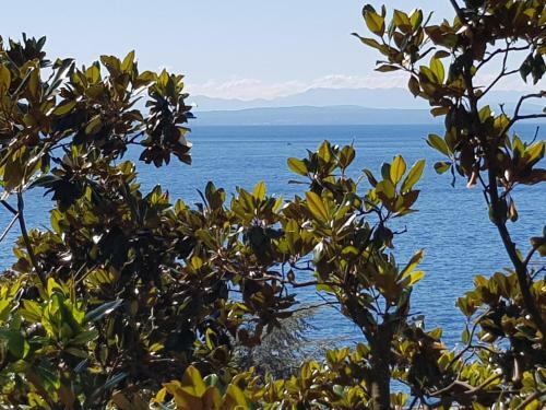 Sunny Apartment 150 M From The Sea