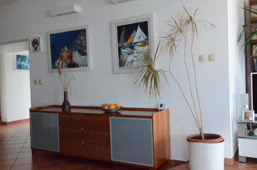 Apartamento Petra Hills