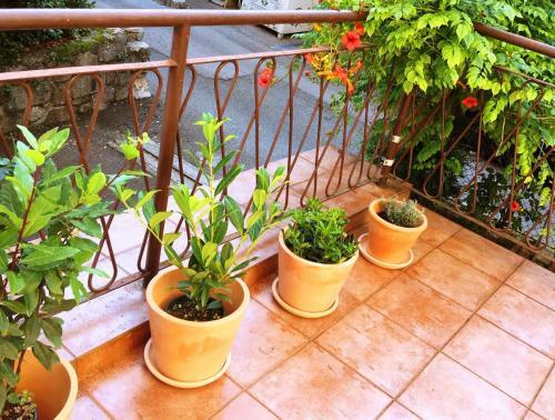 Apartment Laurel Center Opatija