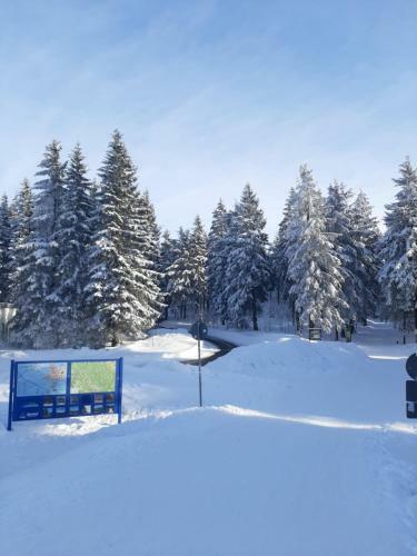Apartamento Ferienwohnung Waldblick Oberhof