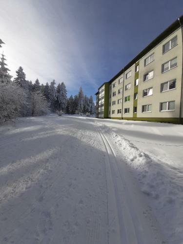 Apartamento Ferienwohnung Waldblick Oberhof