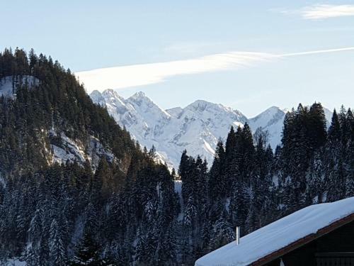 Apartamento Ferienwohnung Alpentraum - Gria� Di