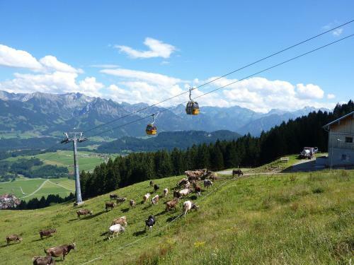Apartamento Ferienwohnungen Alpentraum - Pusteblume