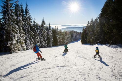 Apartamento Sope Skylodge 06 - Elgit's Bergblick - Oberried, Schauinsland