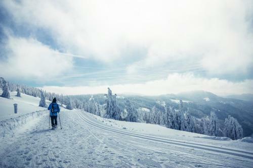 Apartamento Sope Skylodge 06 - Elgit's Bergblick - Oberried, Schauinsland