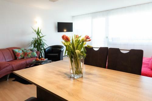 Apartment "k�hler" Mit Berg- Und Bodenseesicht