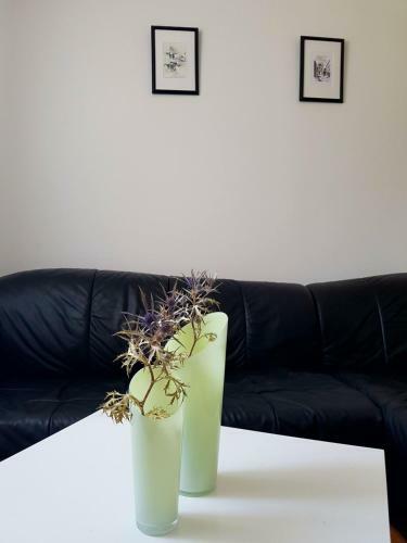 Apartamento Omi? Cetina