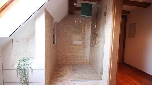 Apartamento Ferienwohnung Am Wasserschloss 1-3