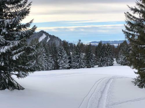 Apartamento Ferienwohnung Alpenblick