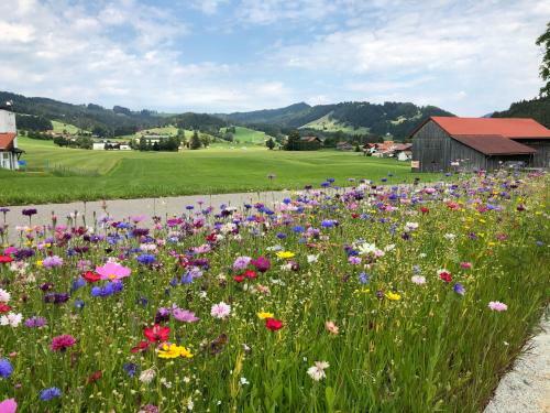 Apartamento Ferienwohnung Alpenblick