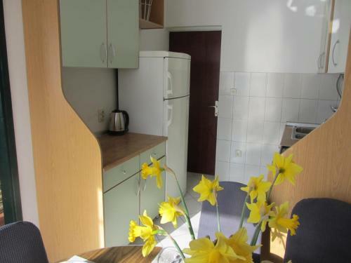 Apartman Beovi?