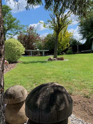 Apartamento Ferienhaus Im Harz Niehoff