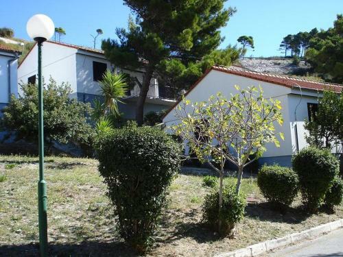 Apartments On The Beach In Bay Mala Luka