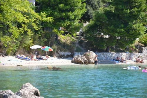 Apartments On The Beach In Bay Mala Luka