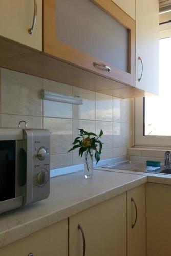 Apartments By The Sea Pag - 17147