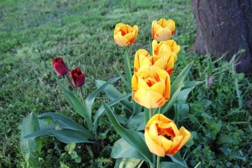 Bed & Breakfast La Rose Des Vents
