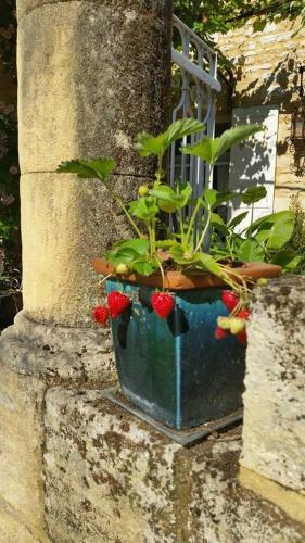 Bed & Breakfast La Demeure Du Coeur De Lion