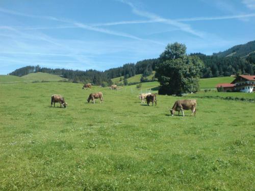 Agroturismo Ferienhof Alfred Albrecht