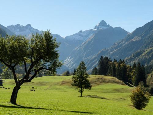 Lovely Apartment In Oberstdorf With A Sauna