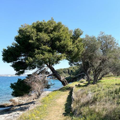 Island House Osljak