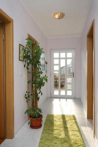 Apartments With A Parking Space Novi Vinodolski - 5529