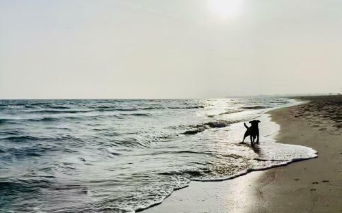 Apartamento Ferienwohnung-mein-ankerplatz-52-olpenitz