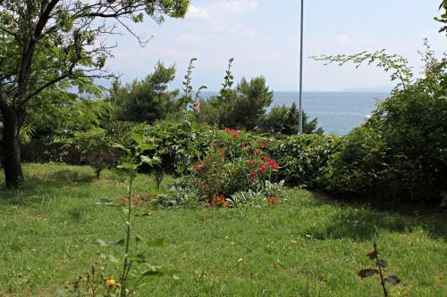 Apartment Novi Vinodolski 5558b