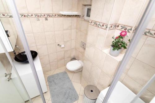 Apartments With Wifi Novi Vinodolski - 5505