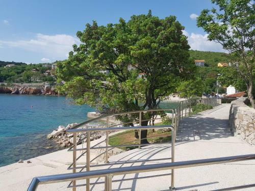 Apartma Jasmin