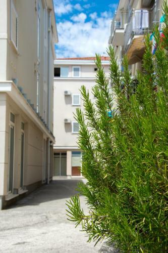 Apartamentos Vito