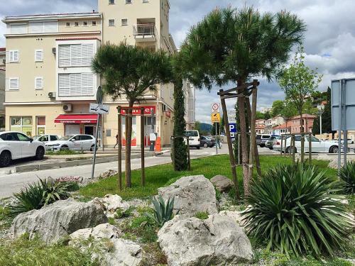 Apartment Marina Novi