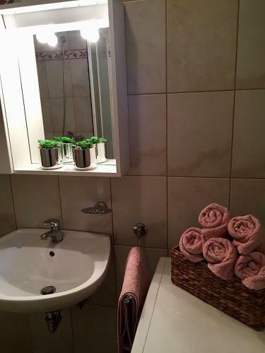 Apartment Marina Novi