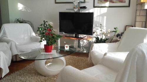 Apartment Bojana