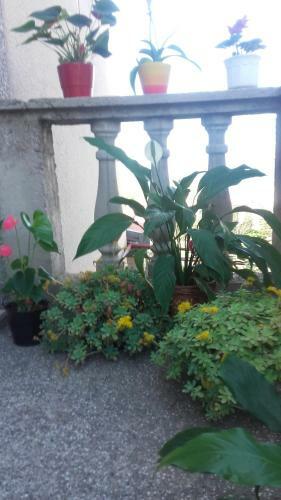 Apartment Bojana