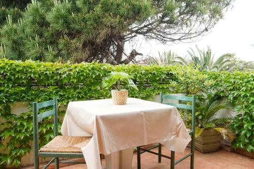 Apartamento R�sidence Les Mandariniers
