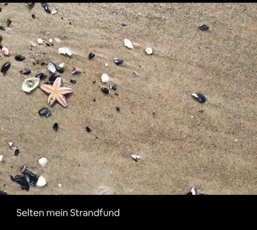 Apartamento Die Kleine Acht - Direkt Am Strand