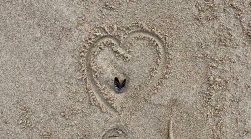 Apartamento Die Kleine Acht - Direkt Am Strand