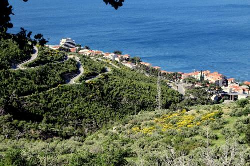 Villa " Davorka"